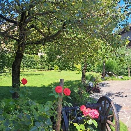 Vacation House Jurcek Радовлица Екстериор снимка